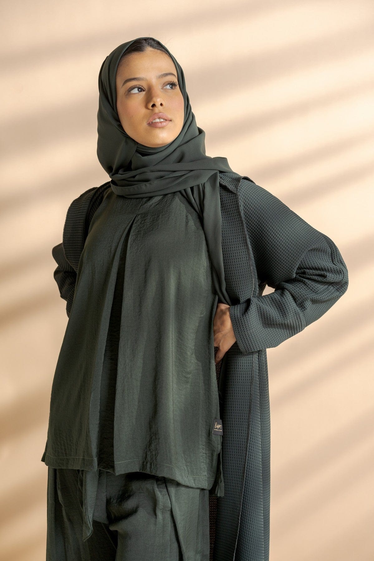 صورة مصغرة 2